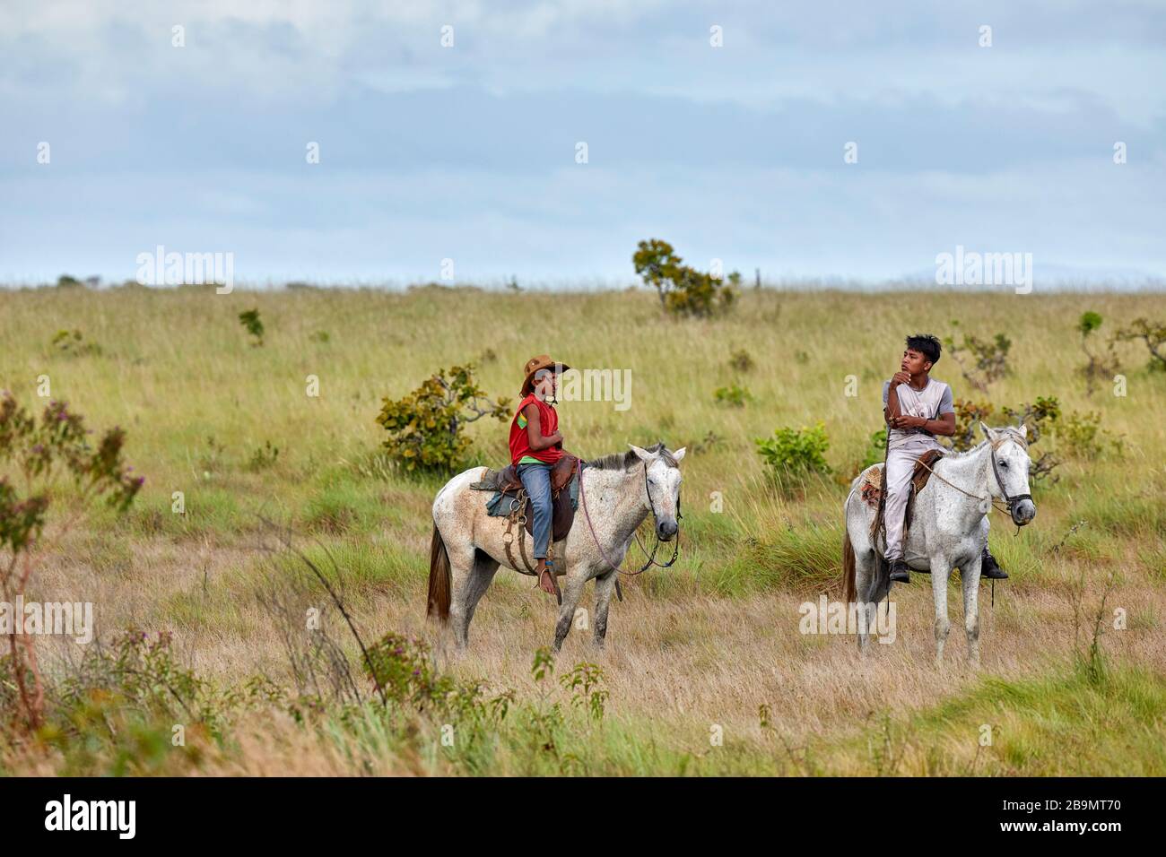 Vaqueros Cowboys on horses in Rupununi Savanna in Guyana, South America Stock Photo