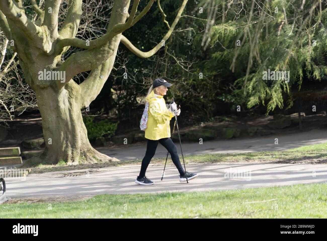 Women exercising with hiking staffs in the Valley Gardens, Harrogate, North Yorkshire, England, UK. Stock Photo