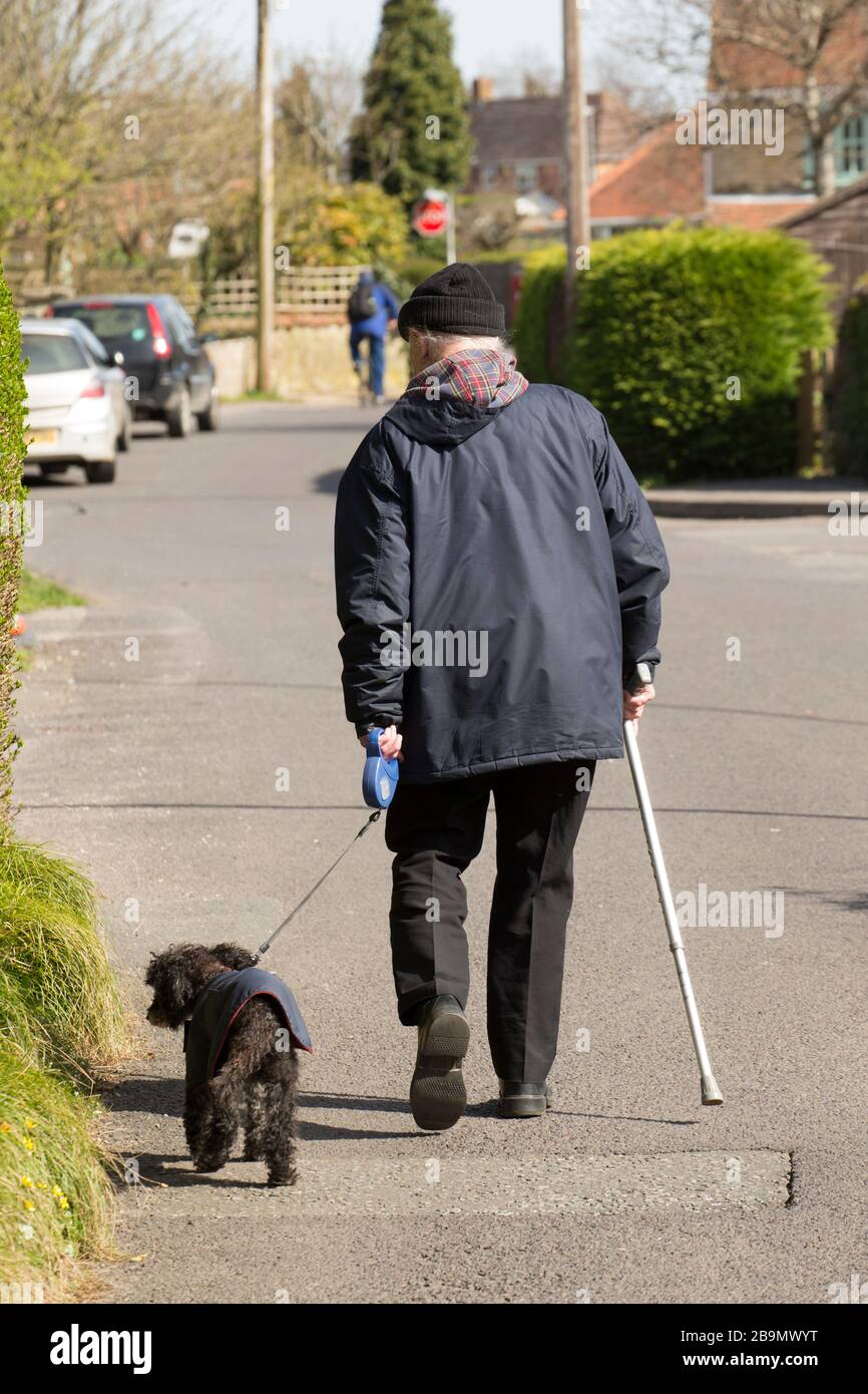 Can I Use Johnson And Johnson On My Dog