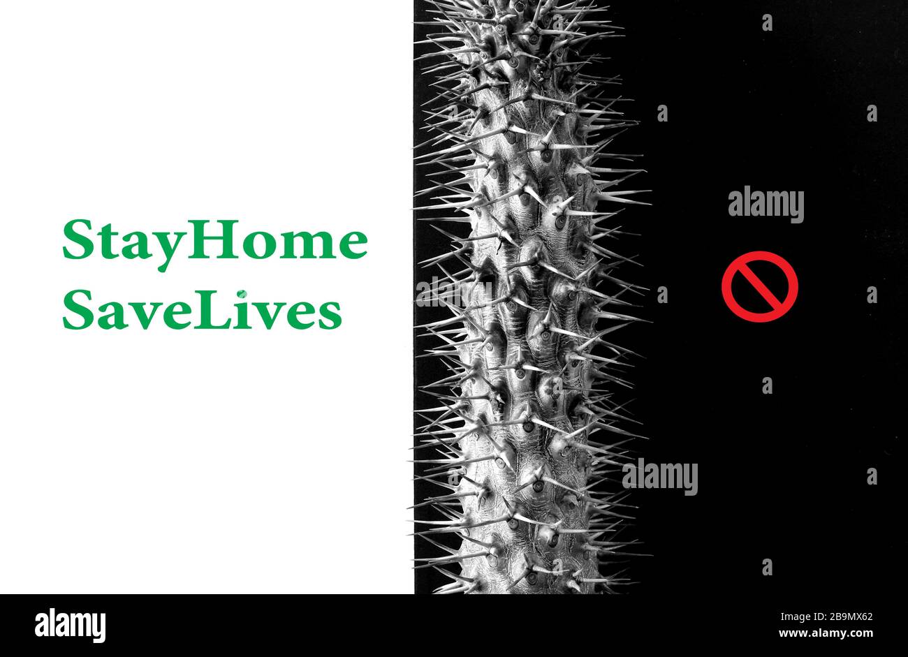 Green Stay Home Save Lives words on white background and symbol of virus on black background. Stay Home, Stay Live concept Stock Photo