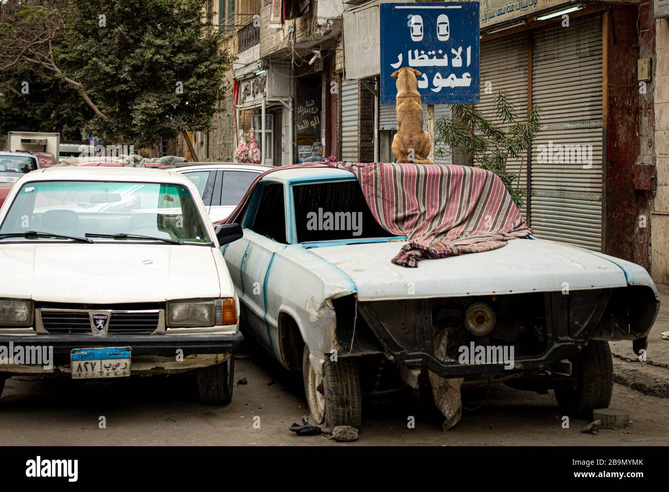 Vintage cars, Egyptian streets Stock Photo Alamy