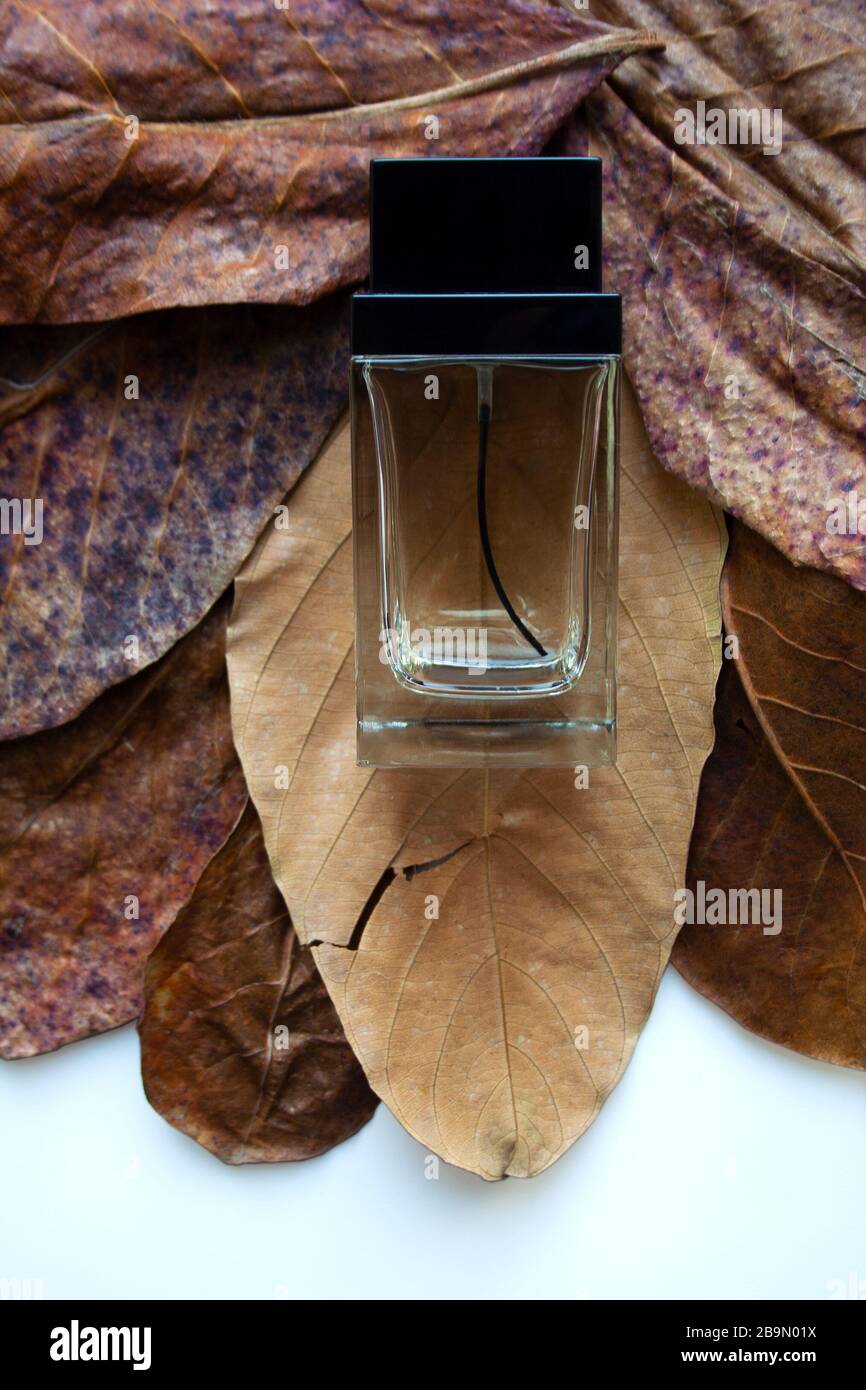 Glass perfume bottle on textured bronze dry leaves Stock Photo