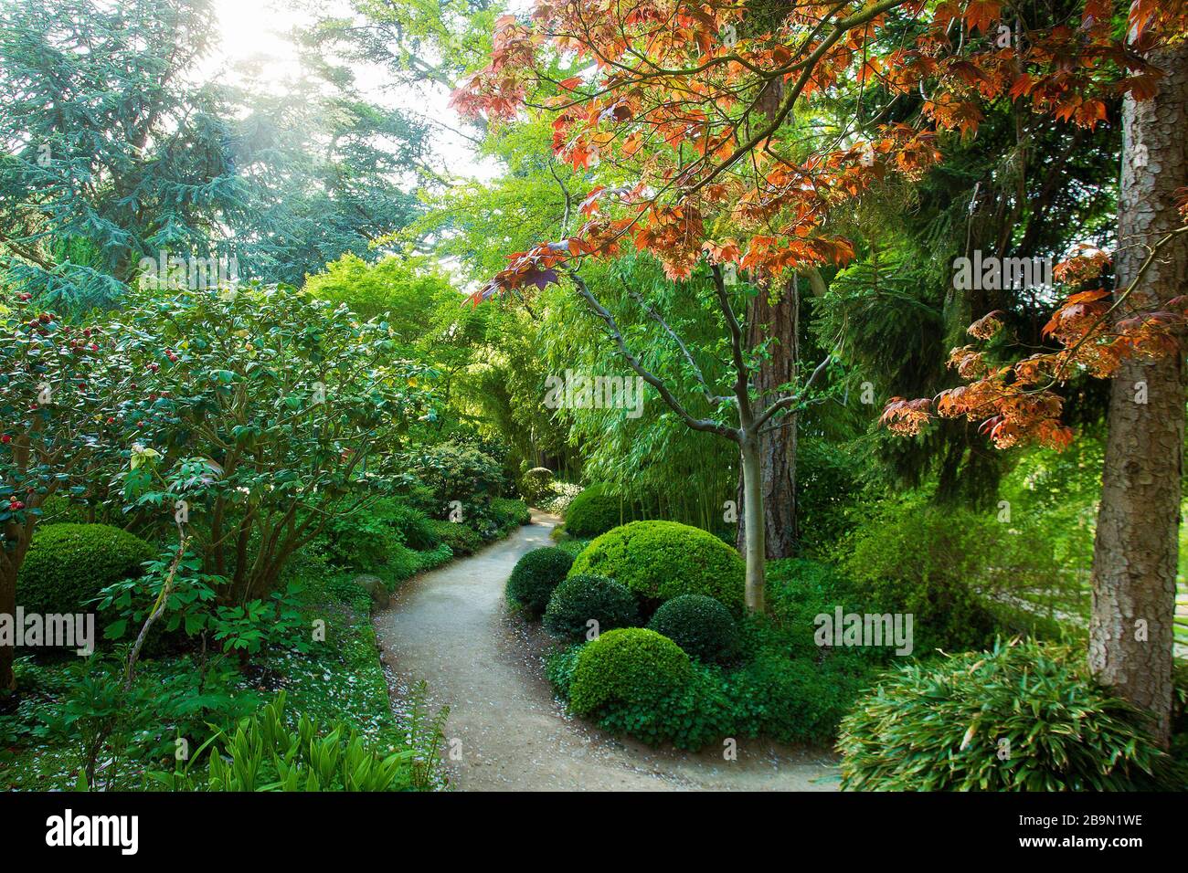 Idyllic Japanese   garden at  Paris ( Albert-Kahn  garden) - idyllic nature in springtime (May6 ) Stock Photo