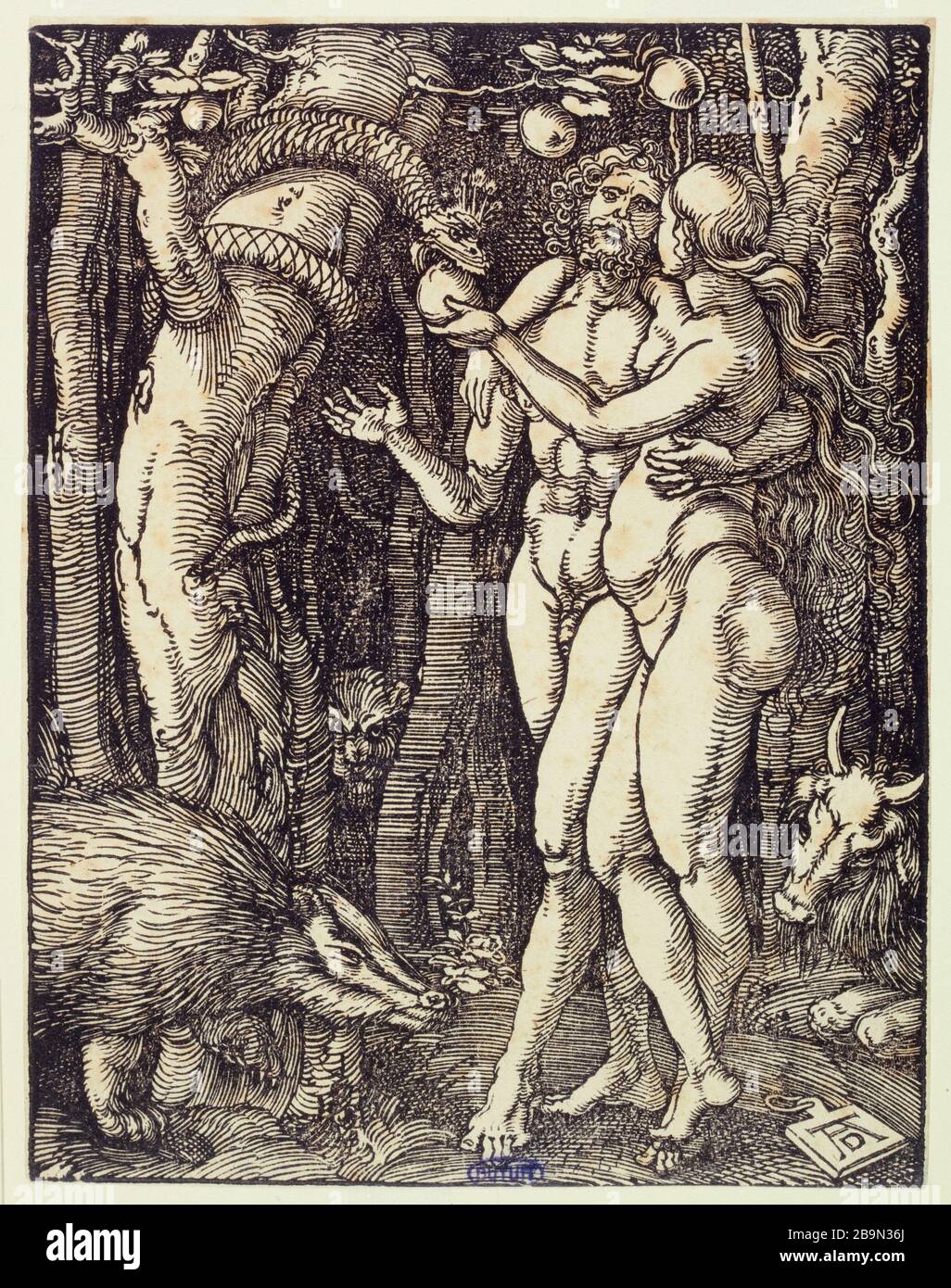 Little Passion on wood: The Fall of Man (Bartsch 17) Albrecht Dürer (1471-1528). La Petite Passion sur bois : La Chute de l'Homme (Bartsch 17). 1510. Musée des Beaux-Arts de la Ville de Paris, Petit Palais. Stock Photo