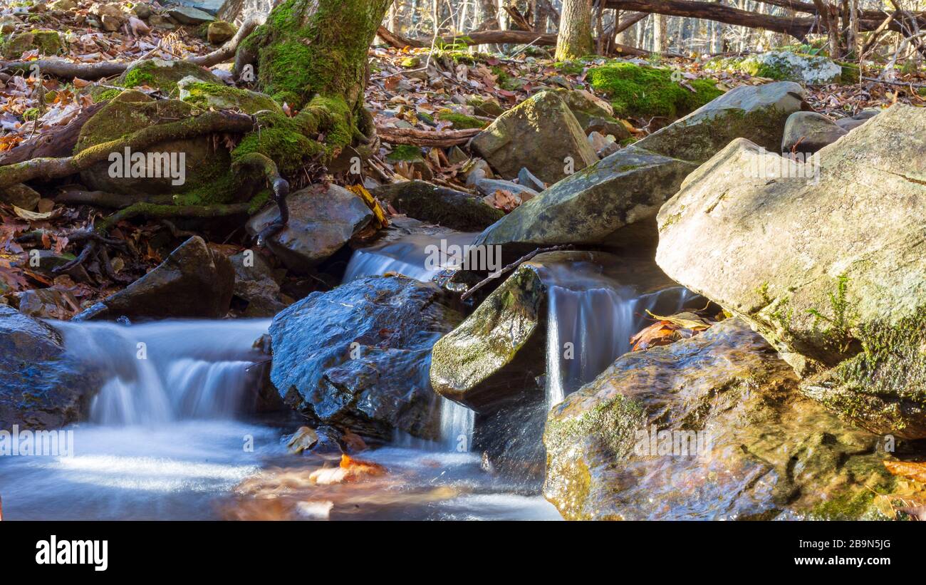 Water flows over the rocks and leaves near Dark Hollows Falls Stock Photo