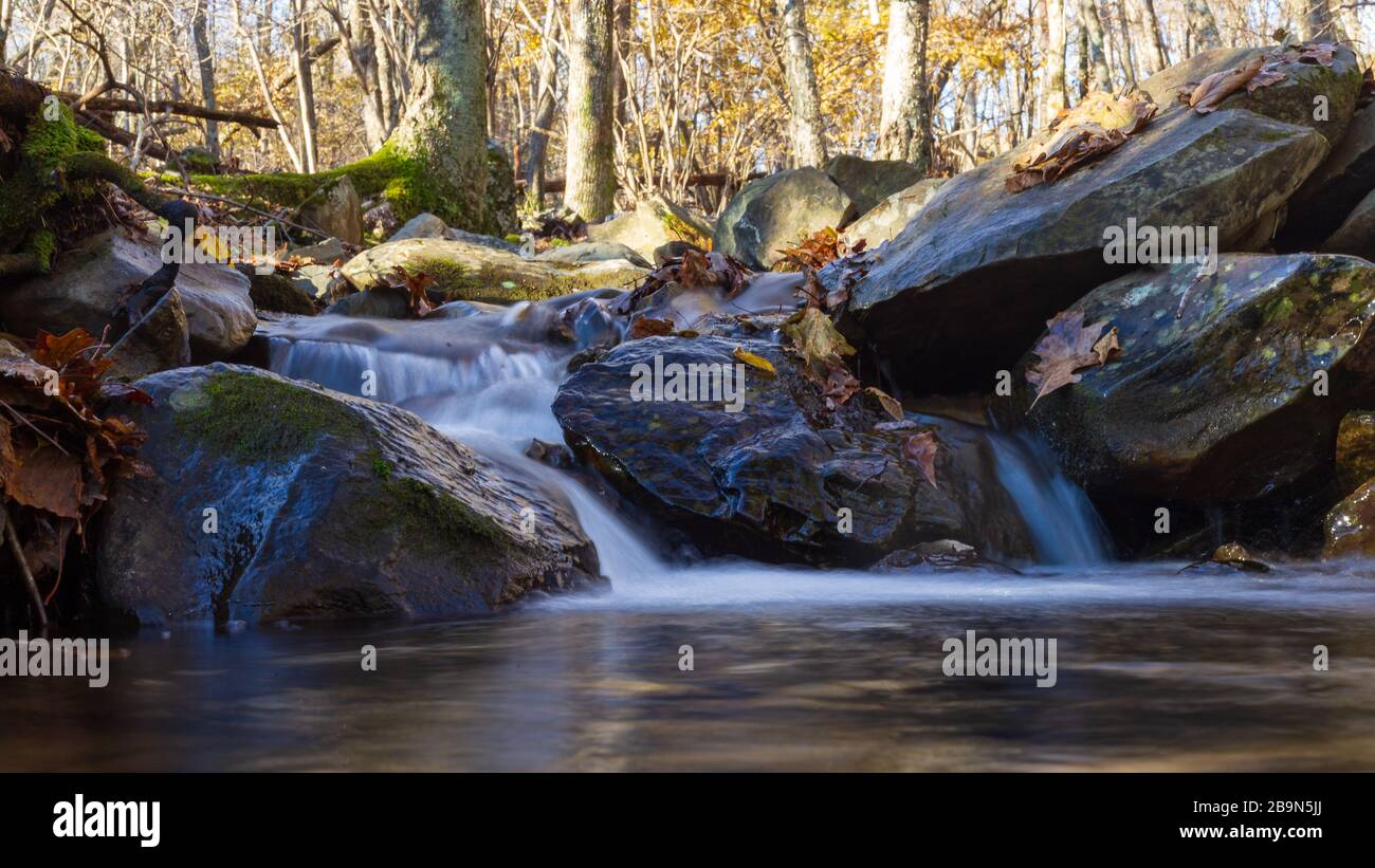 Water flows over the rocks and leaves near Dark Hollows Falls Stock Photo