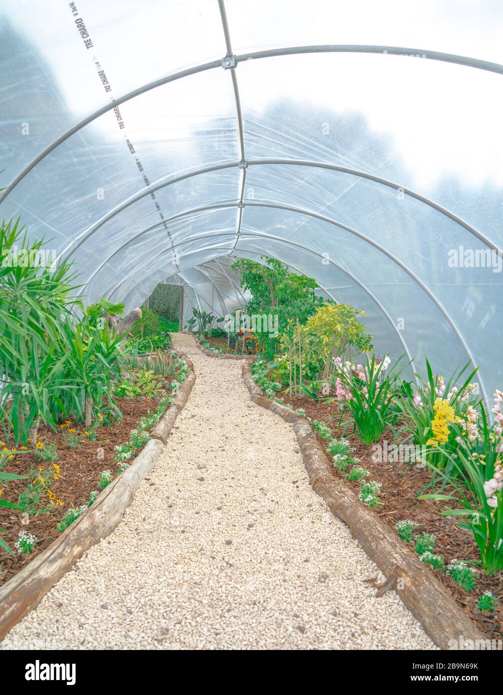 Entrance indoor garden hi-res stock photography and images - Alamy