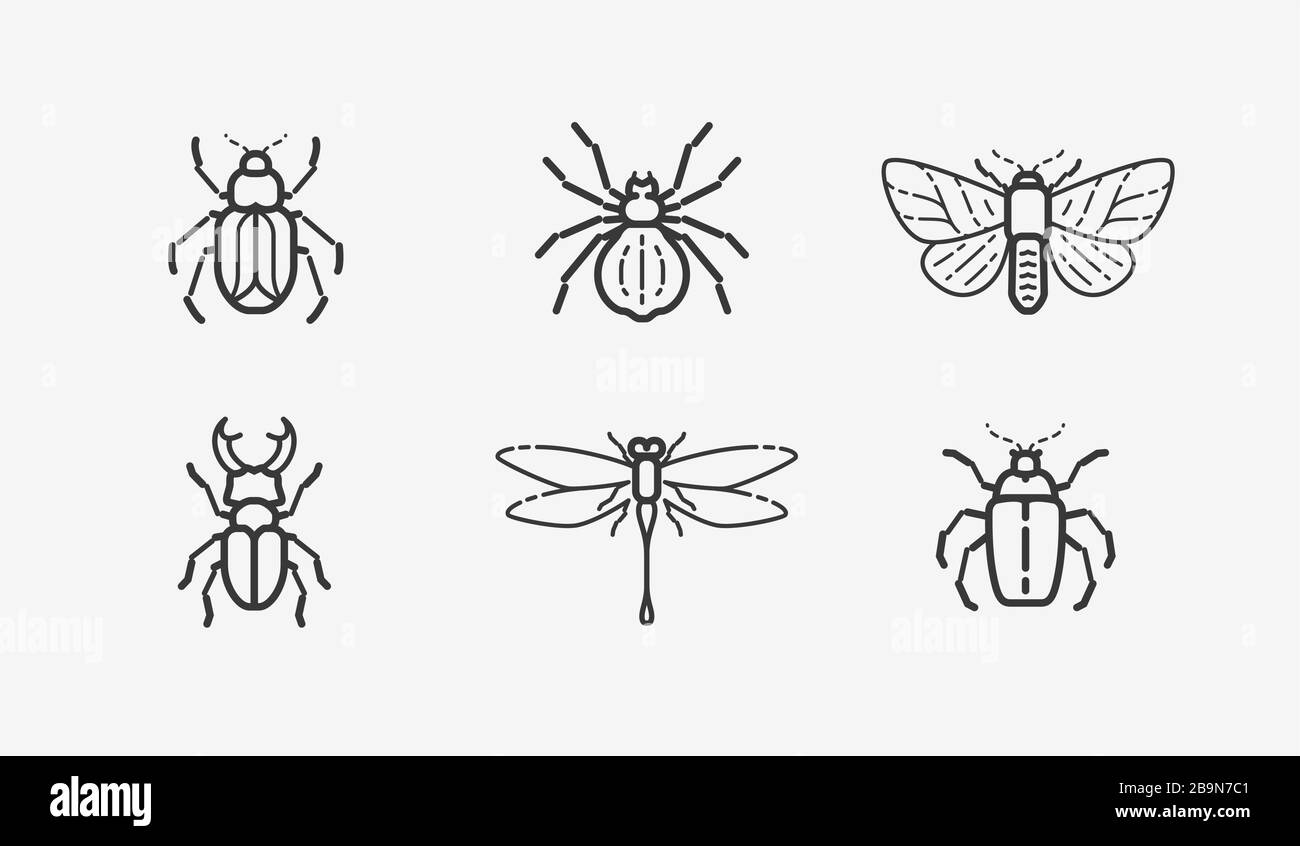 Insects icon set. Animals in linear style, vector illustration Stock Vector