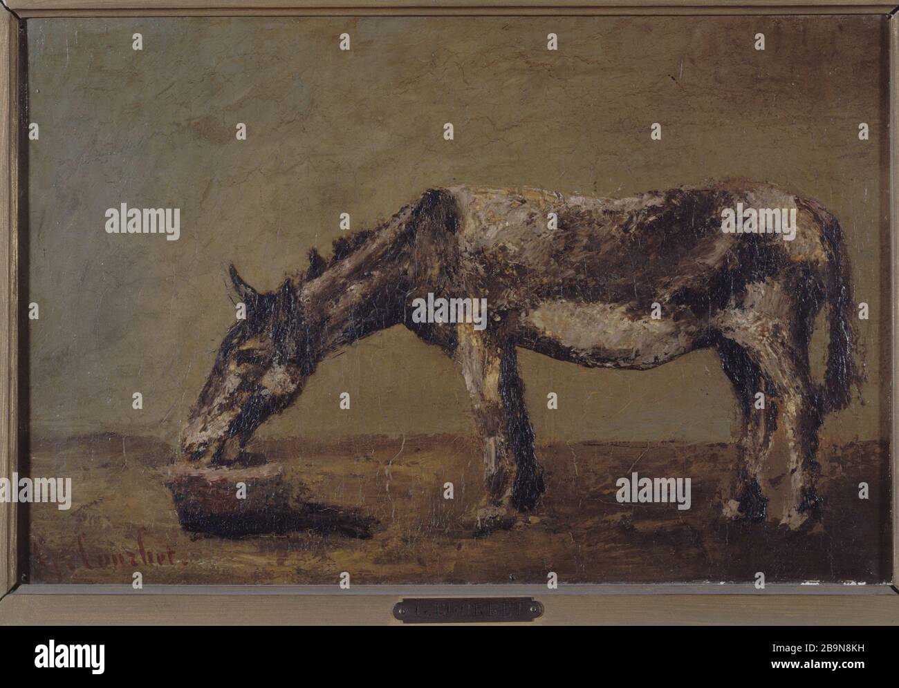 The donkey (eating oats) Gustave Courbet (18191877). "L'âne (mangeant