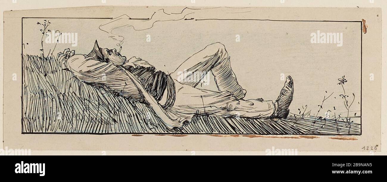 City lizard hi-res stock photography and images - Alamy