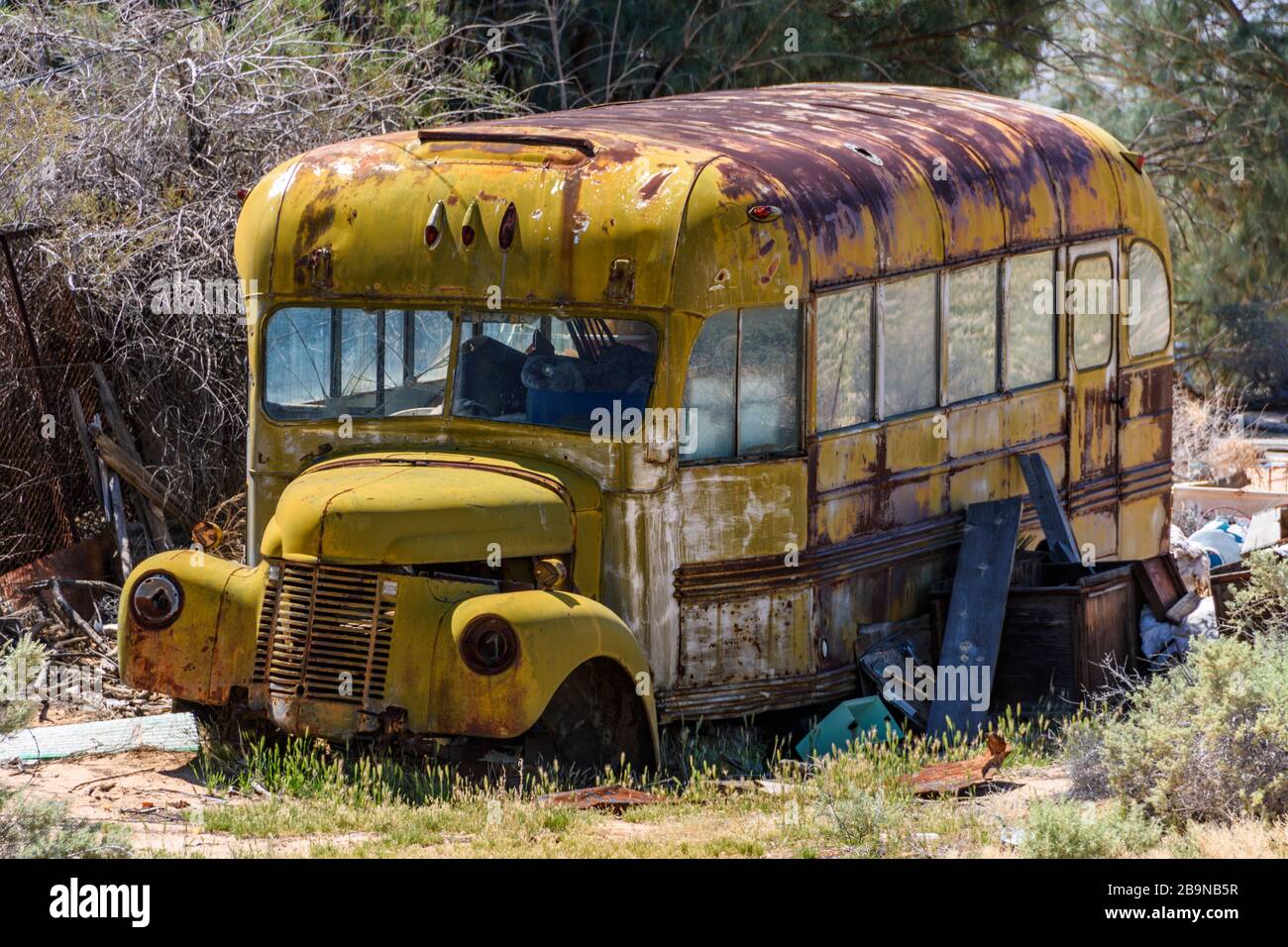 1950s school bus hi-res stock photography and images - Alamy