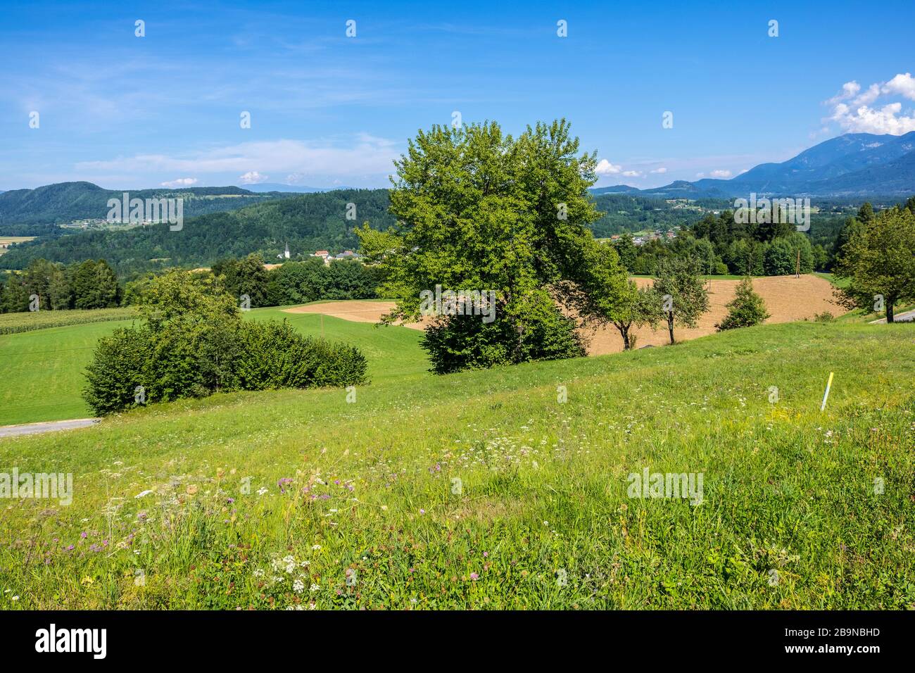 Alpine Scenery. Landscape of Carinthia in Austria with Alpine hills and valley Stock Photo
