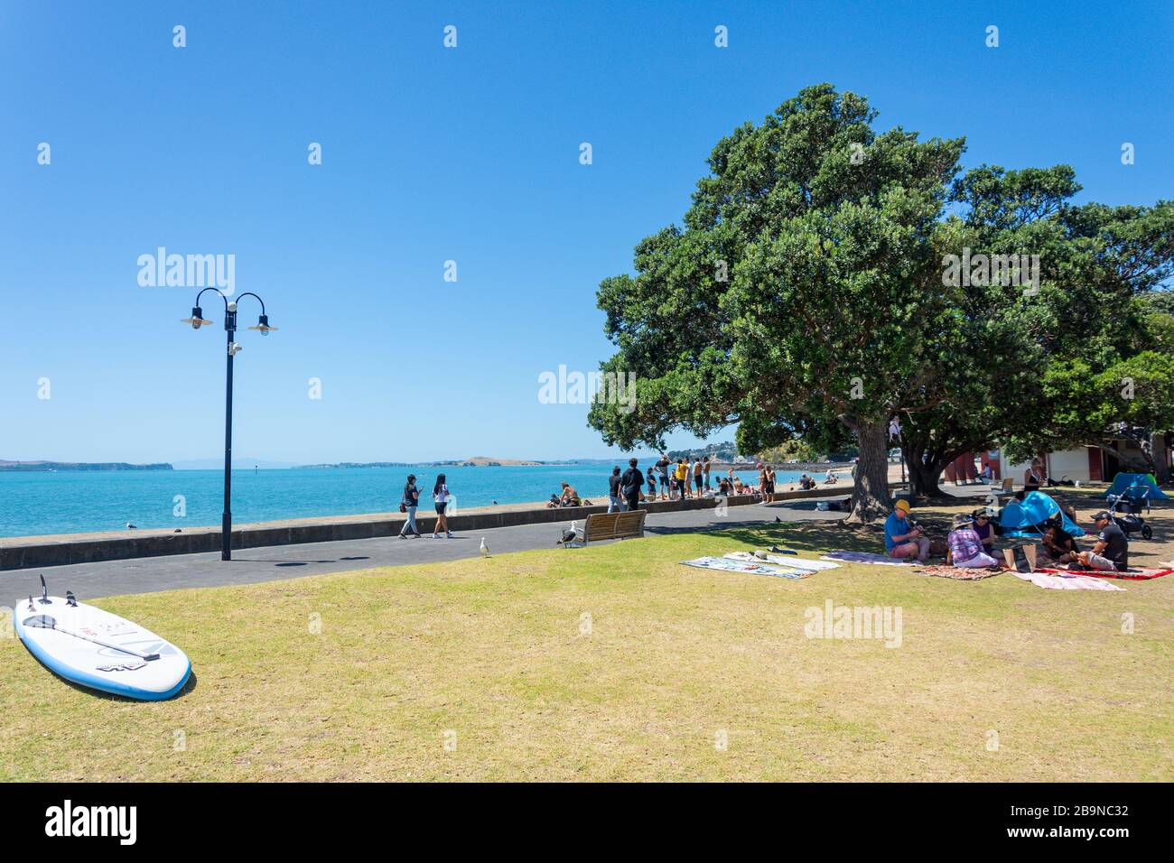 Beach esplanade, Selwyn Domain, Mission Bay, Auckland, New Zealand Stock Photo