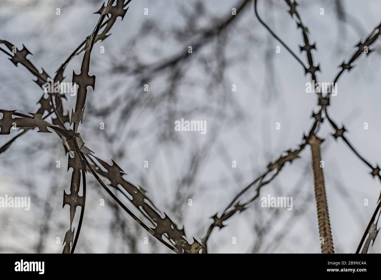 Fence with barbed wire against the sky and branches Stock Photo - Alamy