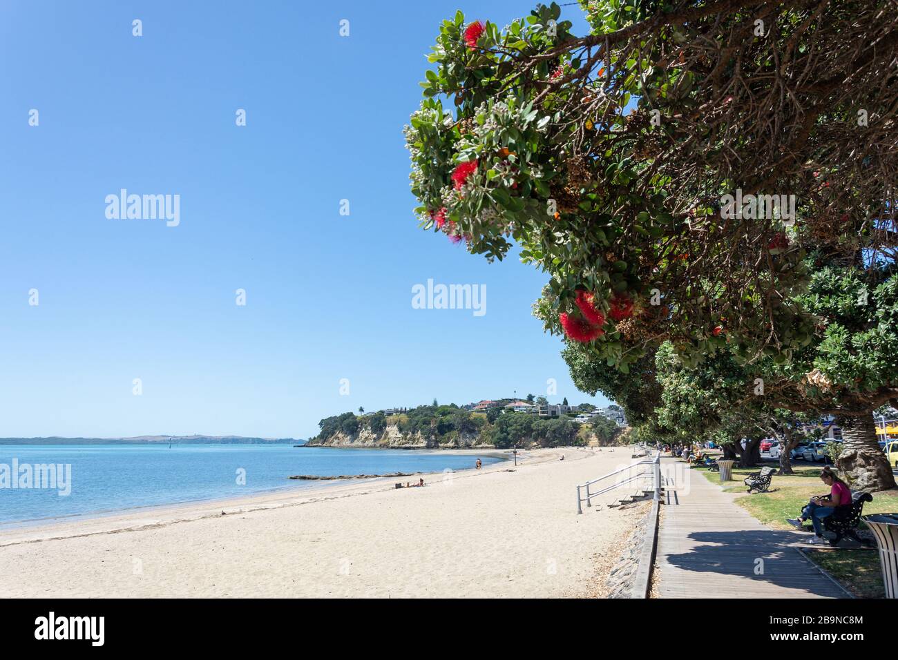 The boardwalk and beach, St Heliers Beach, Tamaki Drive, St Heliers