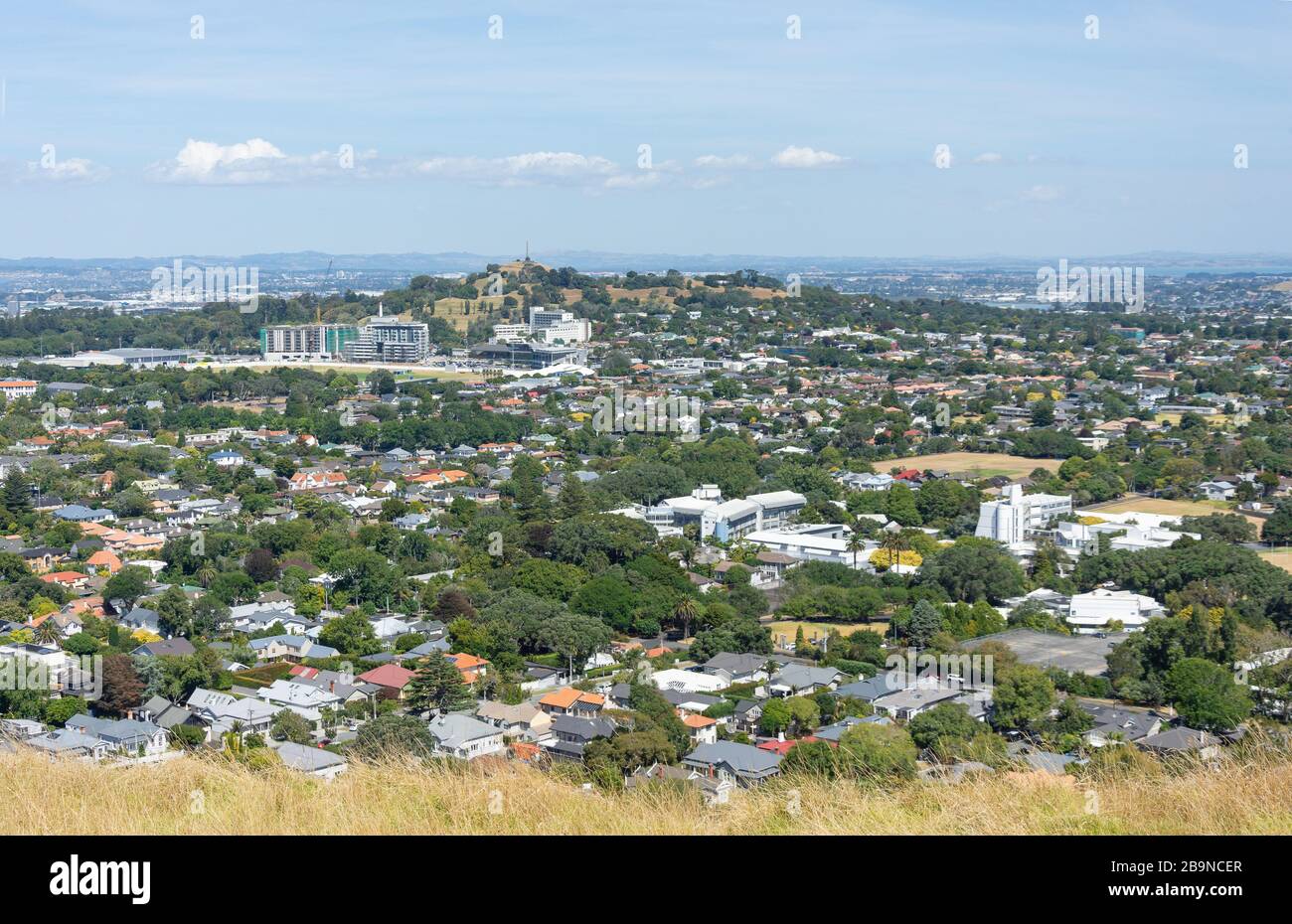 View of One Tree Hill and Epsom suburb from Mount Eden (Maungawhau) summit, Mount Eden, Auckland, New Zealand Stock Photo