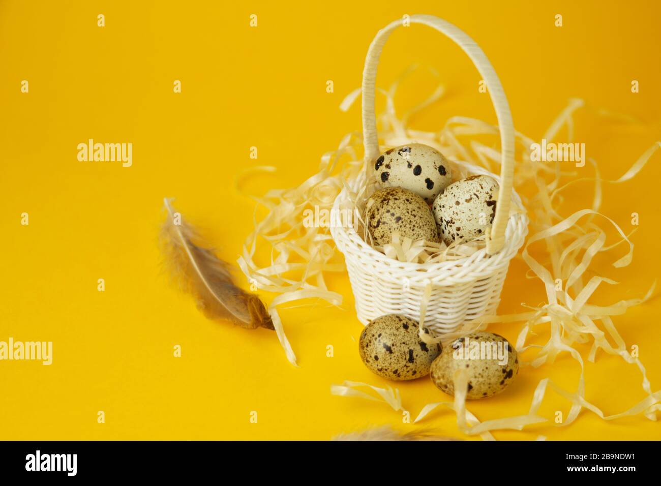 https://c8.alamy.com/comp/2B9NDW1/white-wicker-basket-filled-with-strawquail-eggs-and-feathers-on-a-yellow-background-the-concept-of-easter-holidays-easter-cardclose-up-2B9NDW1.jpg