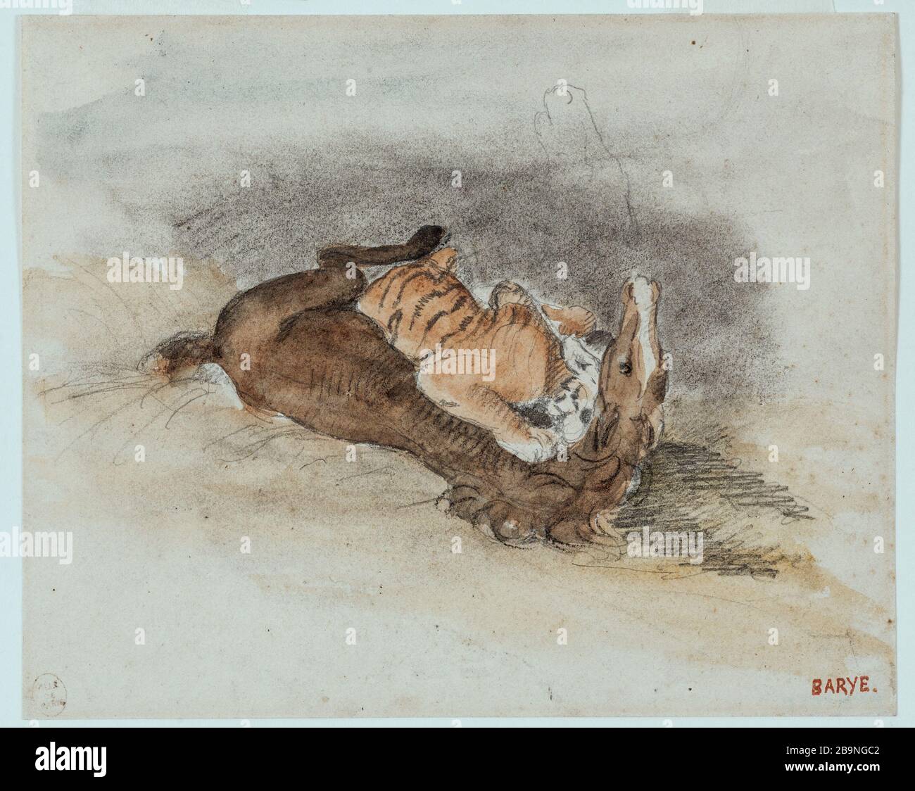 Tiger Devouring a Horse Antoine-Louis Barye (1796-1875). Tigre dévorant un cheval. Mine de plomb et aquarelle. Musée des Beaux-Arts de la Ville de Paris, Petit Palais. Stock Photo
