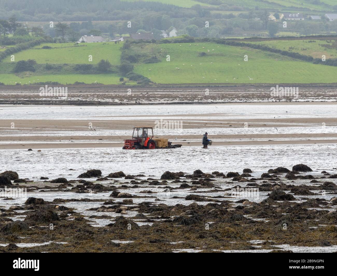 Lobster fishing donegal hires stock photography and images Alamy