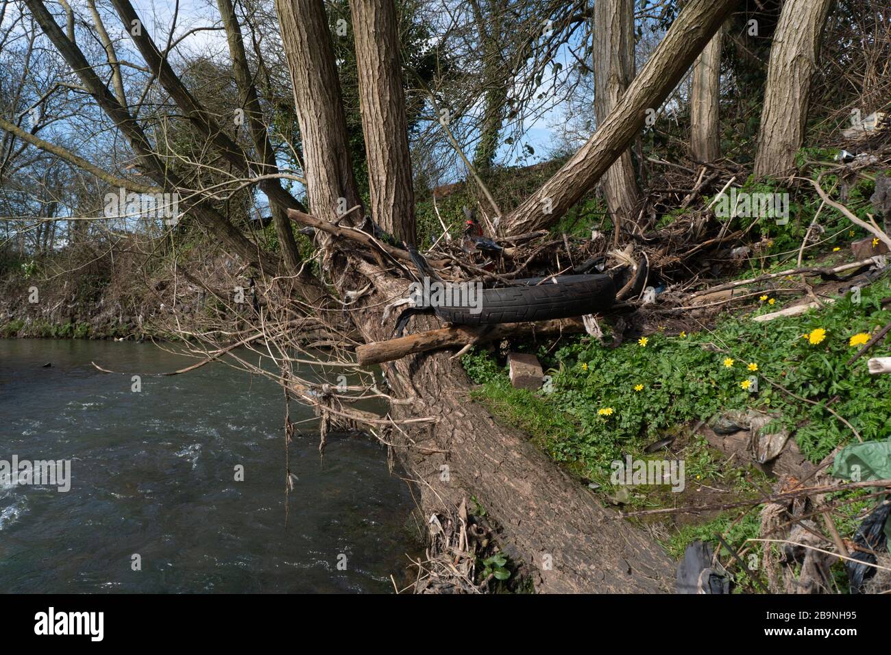 Old tyre and rubbish on the banks of the River Stour. Stourbridge. West Midlands. Black Country. UK Stock Photo
