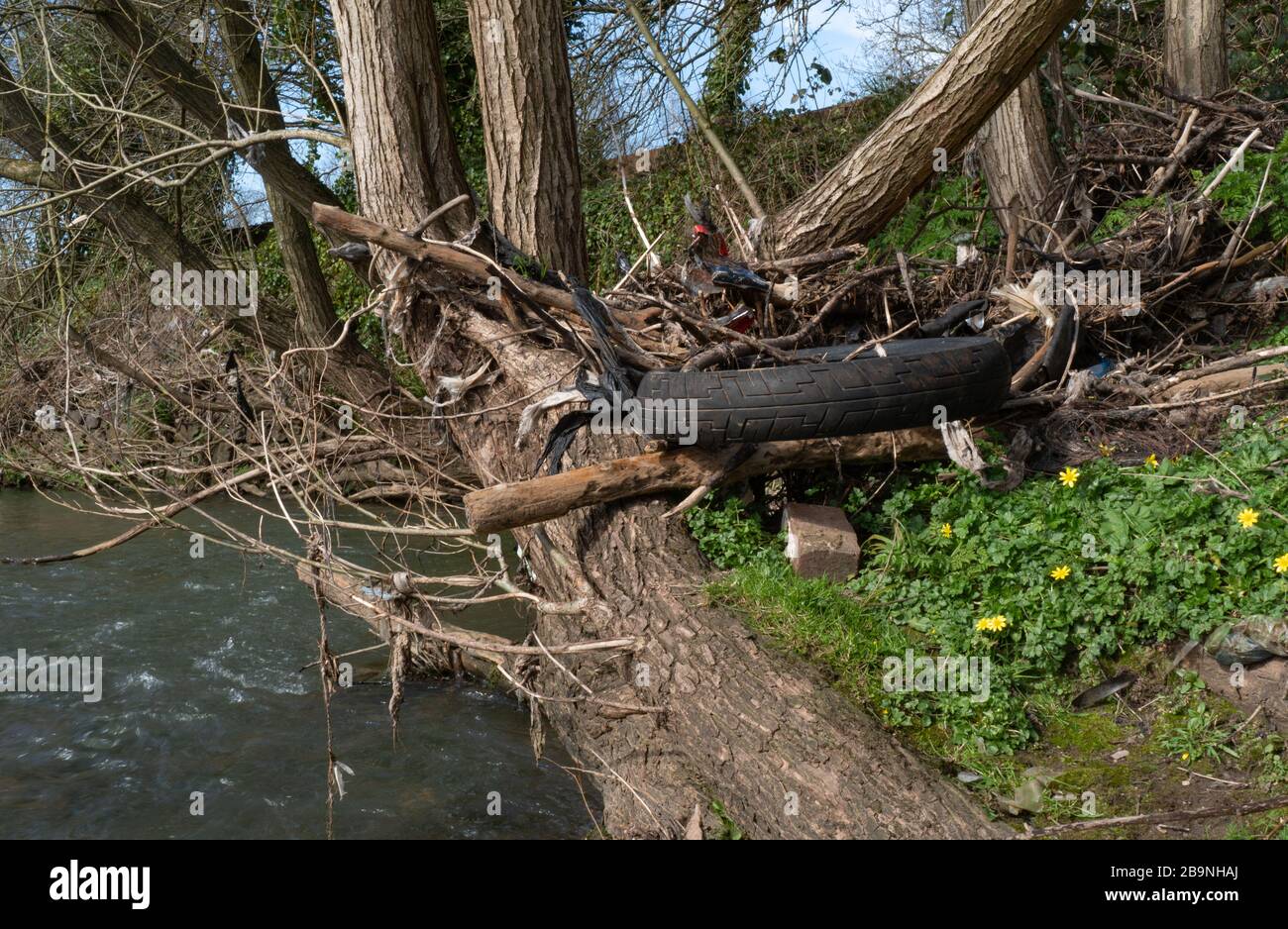 Old tyre and rubbish on the banks of the River Stour. Stourbridge. West Midlands. Black Country. UK Stock Photo