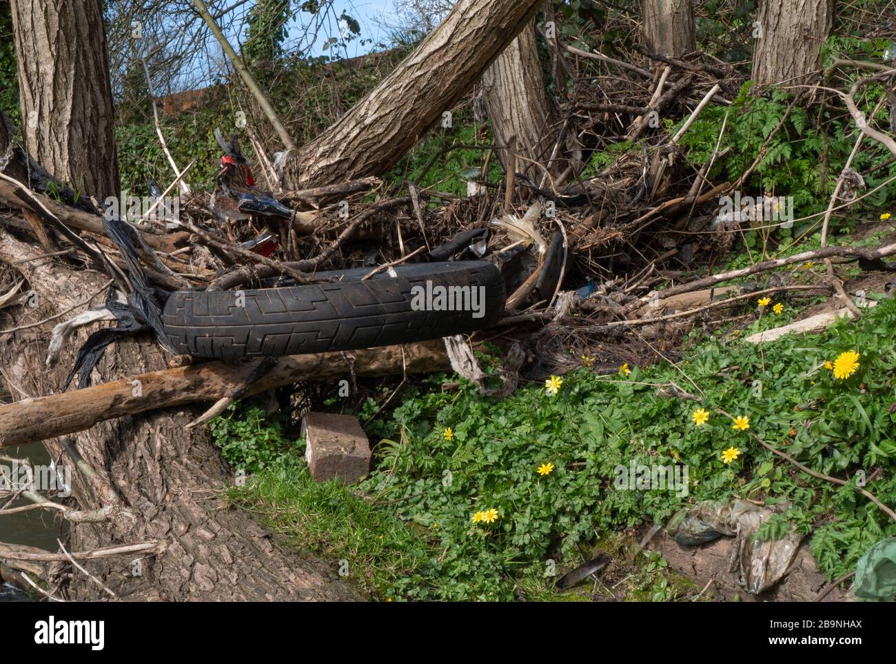 Old tyre and rubbish on the banks of the River Stour. Stourbridge. West Midlands. Black Country. UK Stock Photo