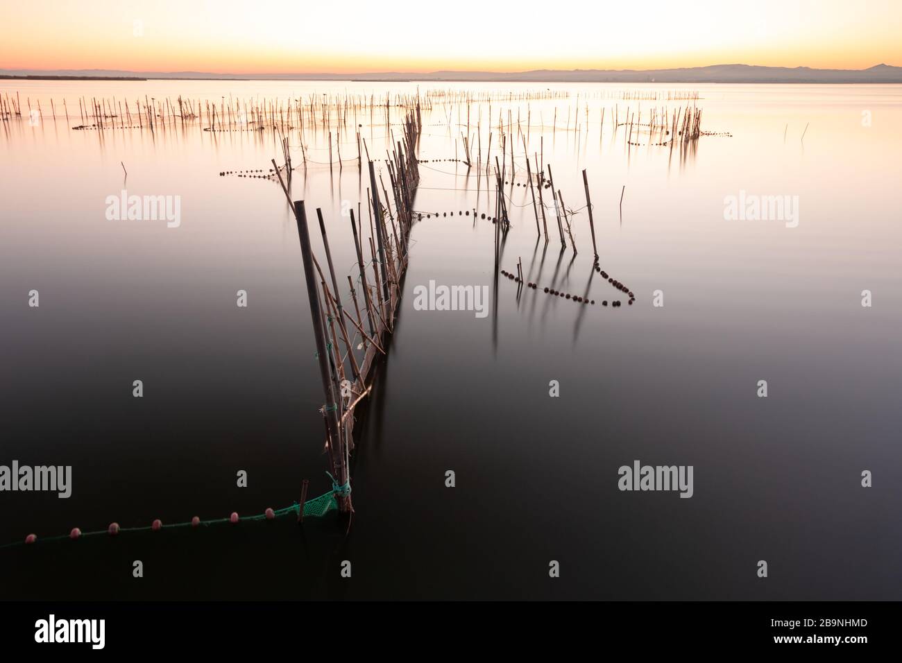 Image of the silky water of a lake from which reeds emerge with fishing nets tied to them. In the coastal lagoon of Valencia, Spain. Nature concept Stock Photo