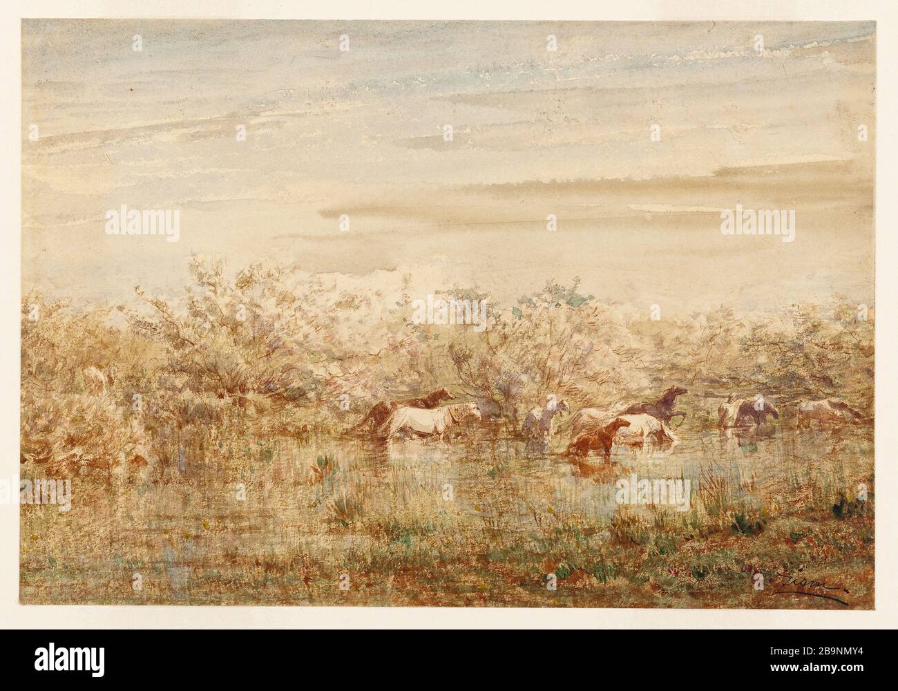 wild horses in the Camargue Félix Ziem (1821-1911). 'Chevaux sauvages en Camargue'. Aquarelle sur papier. XIXème siècle. Musée des Beaux-Arts de la Ville de Paris, Petit Palais. Stock Photo