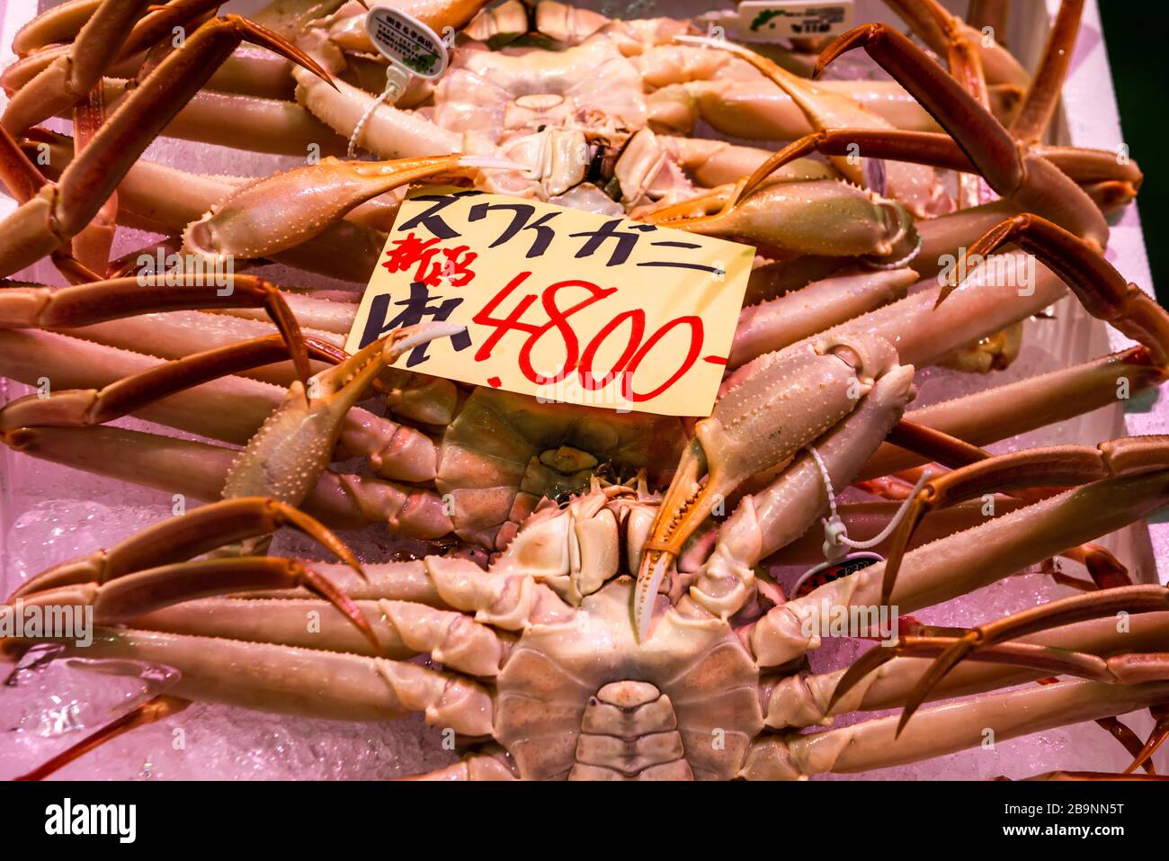 Tokyo Japan October 23 19 Tsukiji Fish Market In Tokyo Giant Spider Crab Stock Photo Alamy