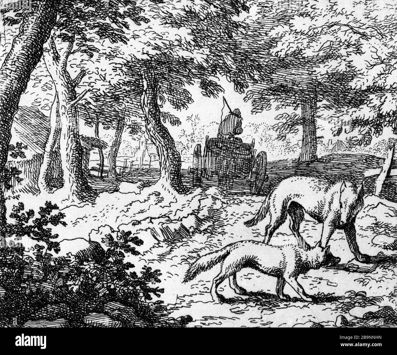 Marchand de poisson Black and White Stock Photos & Images Alamy — free download