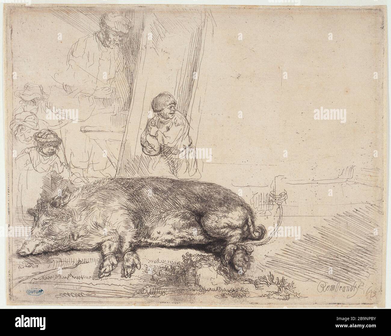 THE PIG Harmensz Van Rijn Rembrandt (1606-1669). 'Le cochon (B 157 - 1er état), 1643'. Musée des Beaux-Arts de la Ville de Paris, Petit Palais. Stock Photo