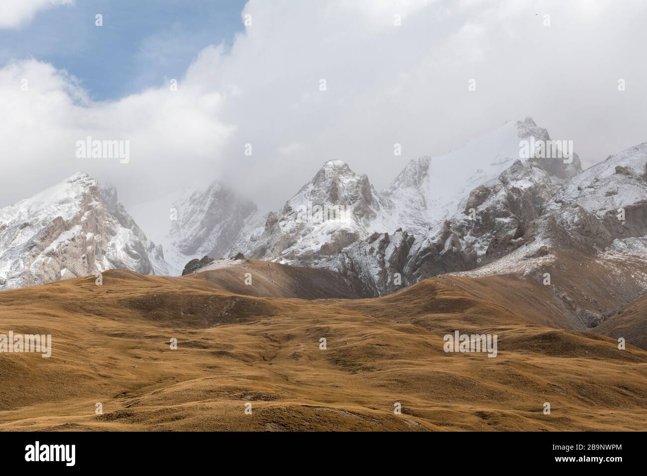 Looking up to the winter landscape of Kol Suu with grazing yaks. Köl-Suu (Kyrgyz: Көлсуу) is an alpine lake in At-Bashi District of Naryn Province of Stock Photo