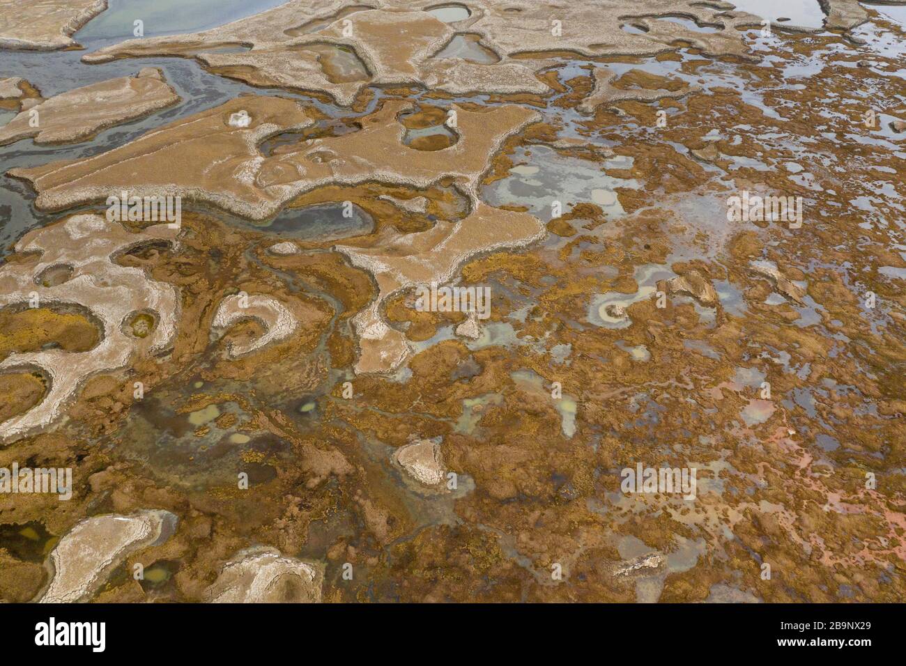 Abstract aerial patterns of wetland near the Chatyr-Kul lake in Kyrgyzstan. The Ramsar Convention on Wetlands of International Importance especially a Stock Photo