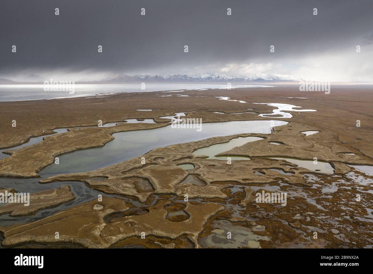 Abstract aerial patterns of wetland near the Chatyr-Kul lake in Kyrgyzstan. The Ramsar Convention on Wetlands of International Importance especially a Stock Photo