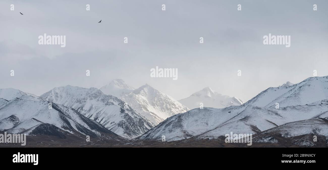 mountain landscape with golden eagles showing the typical Tian Shan mountains around Chatyr Kol lake in Kyrgyzstan Stock Photo