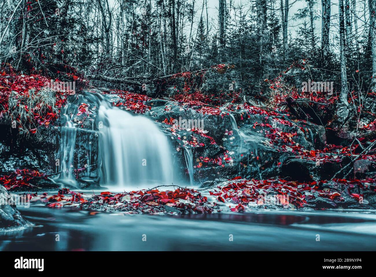 Red leaves waterfall hi-res stock photography and images - Alamy