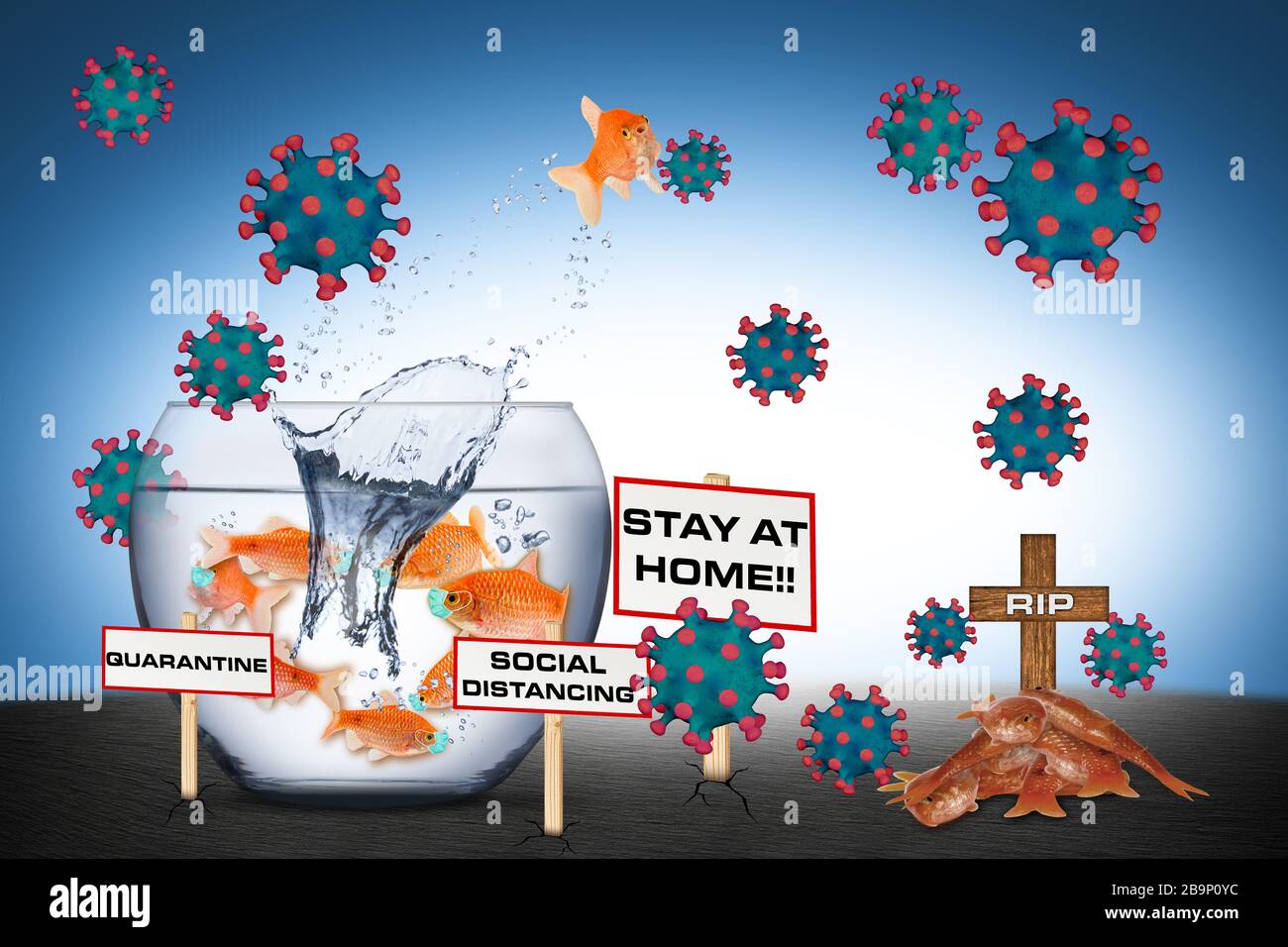 Coronavirus goldfish bowl stay at home quarantine concept. fish with respirator breathing face mask. Corna virus global outbreak pandemic epidemic med Stock Photo