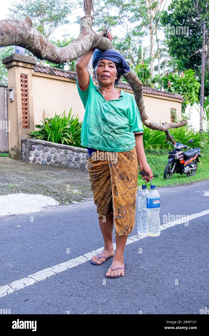 Indonesian Old Woman carrying Palm tree logs and water in the middle of the road. Indonesia, July 2nd 2016. Stock Photo