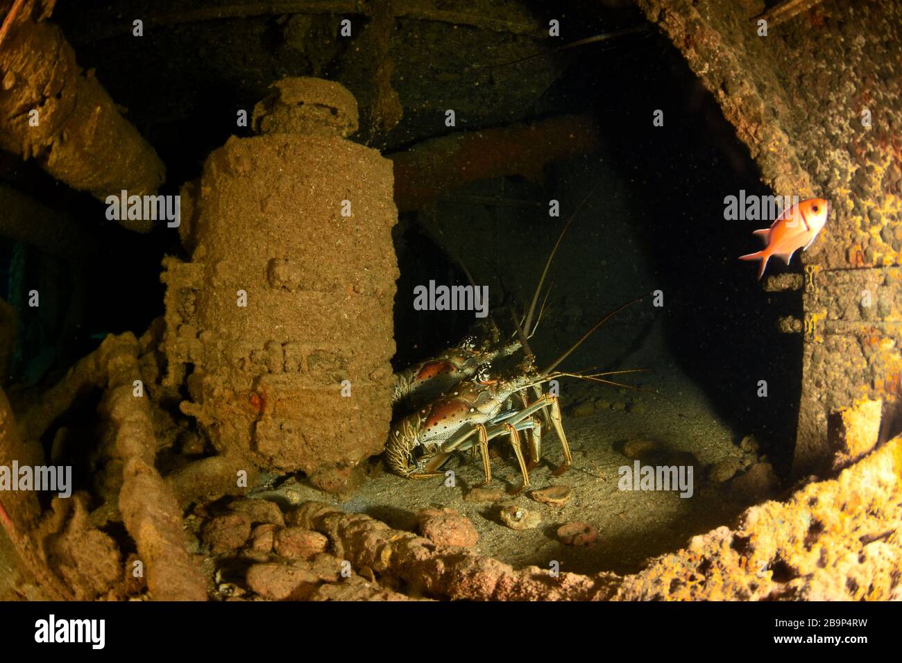 Ship wreck scuba dive around hi-res stock photography and images - Alamy