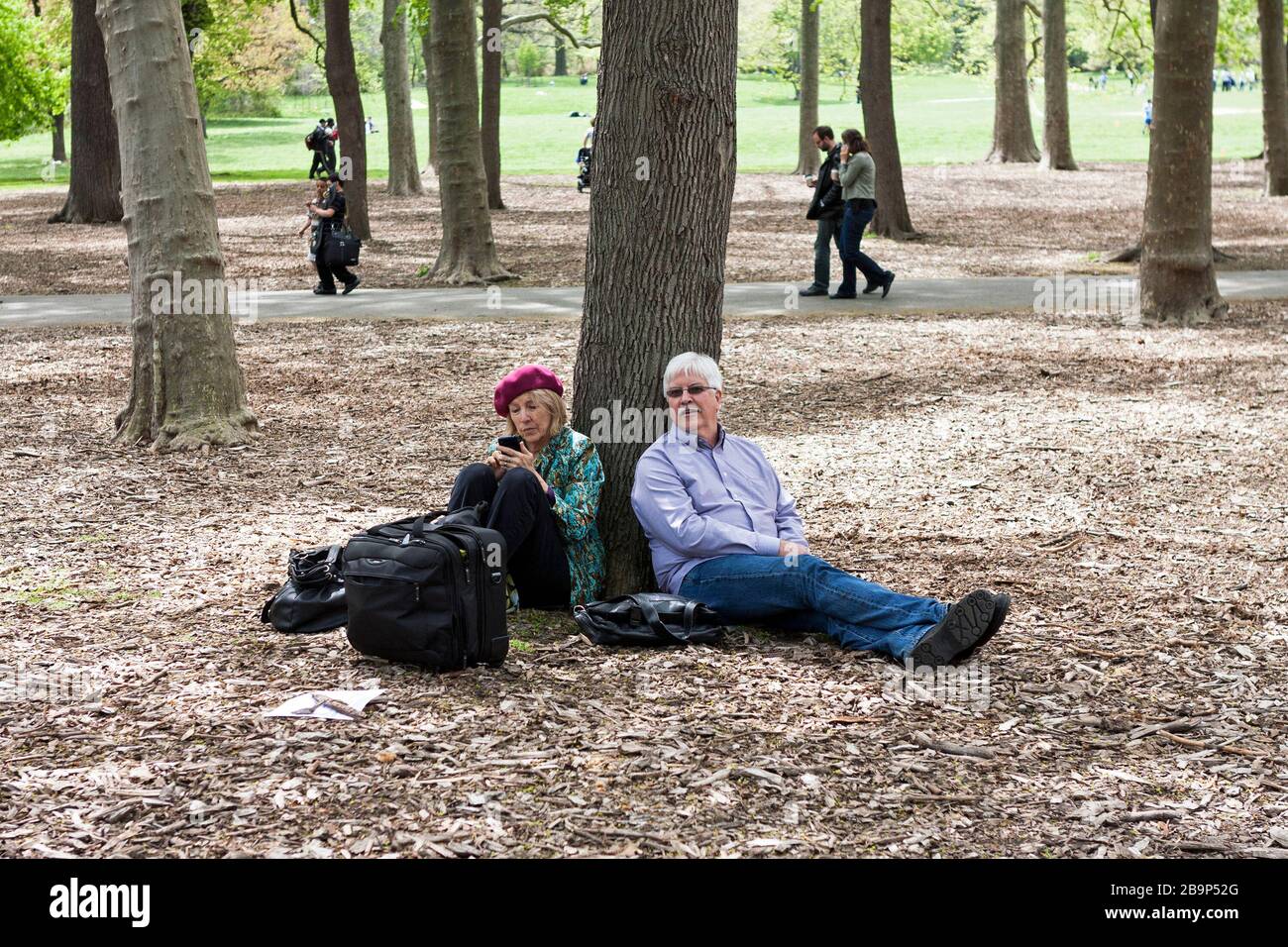 A couple relax against a tree in Prospect Park in Brooklyn, New York, USA. Stock Photo