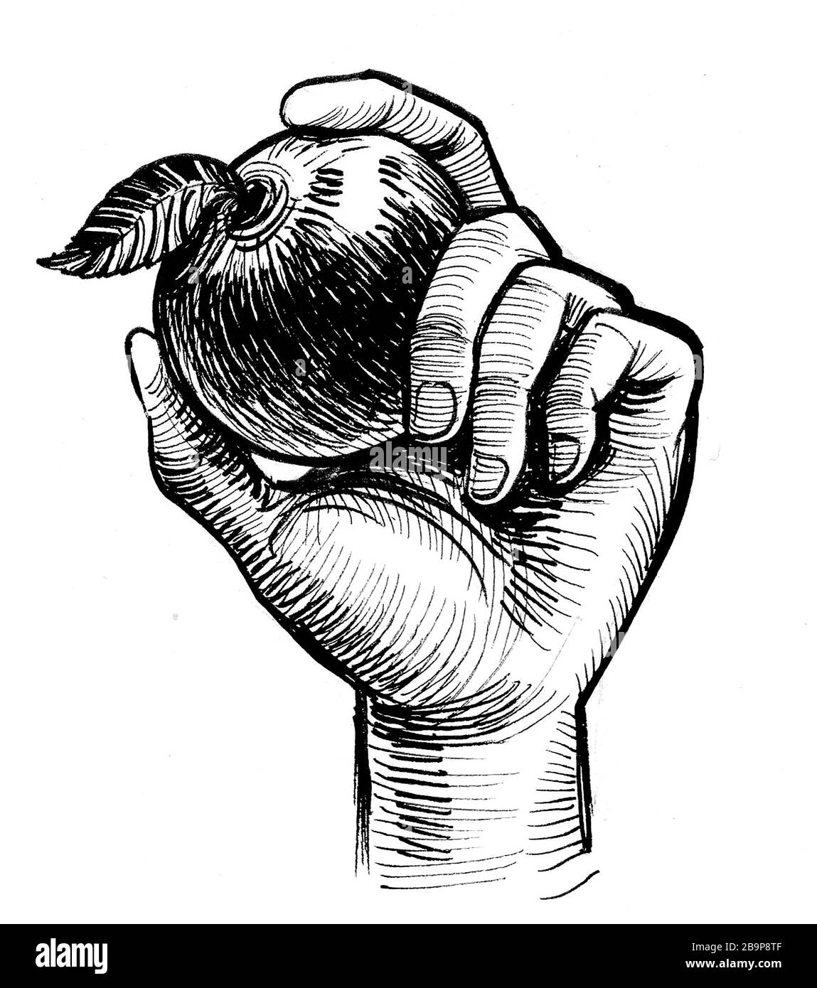 Hand holding apple fruit. Ink black and white drawing Stock Photo