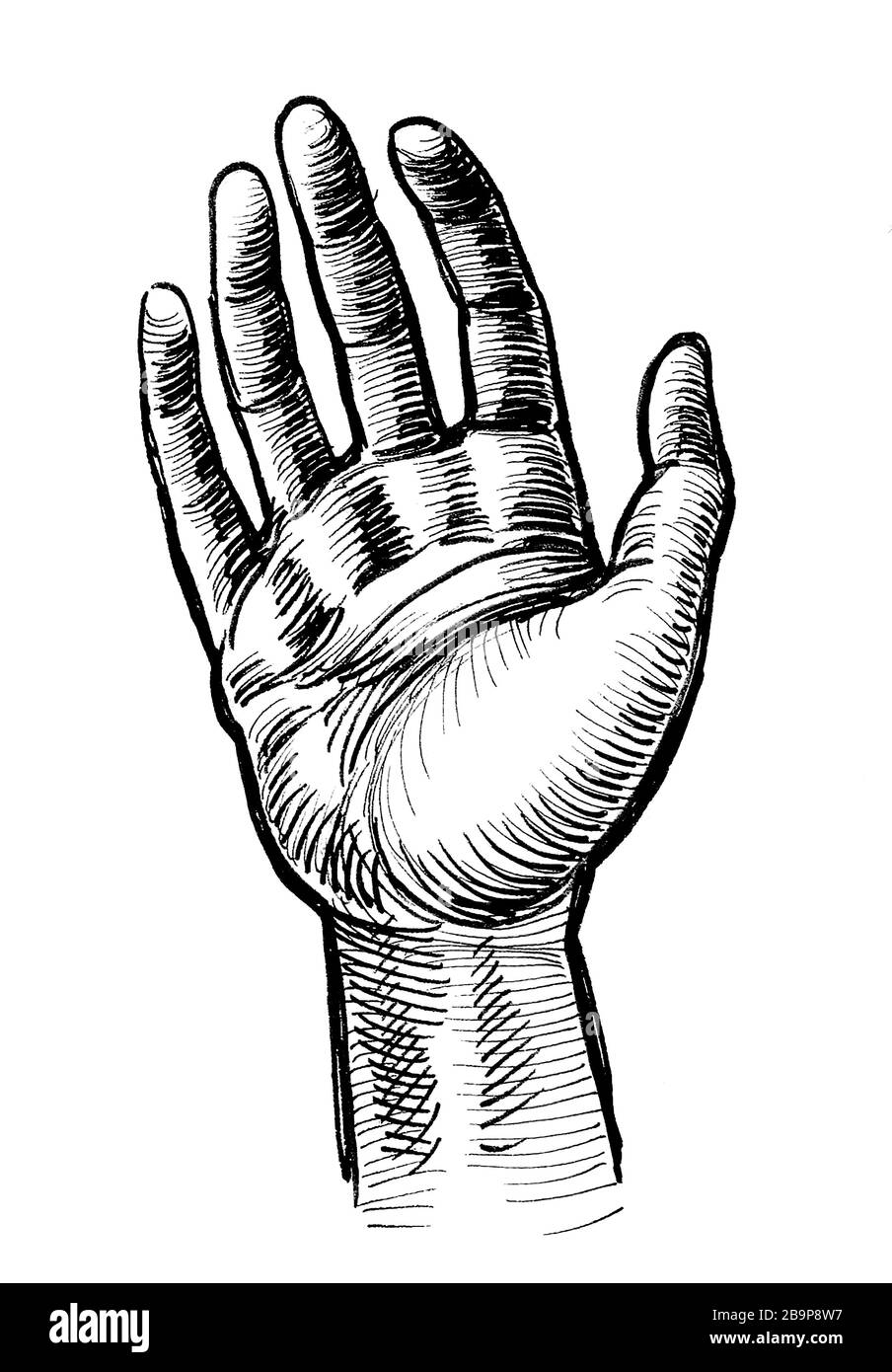 Human hand. Ink black and white drawing Stock Photo Alamy