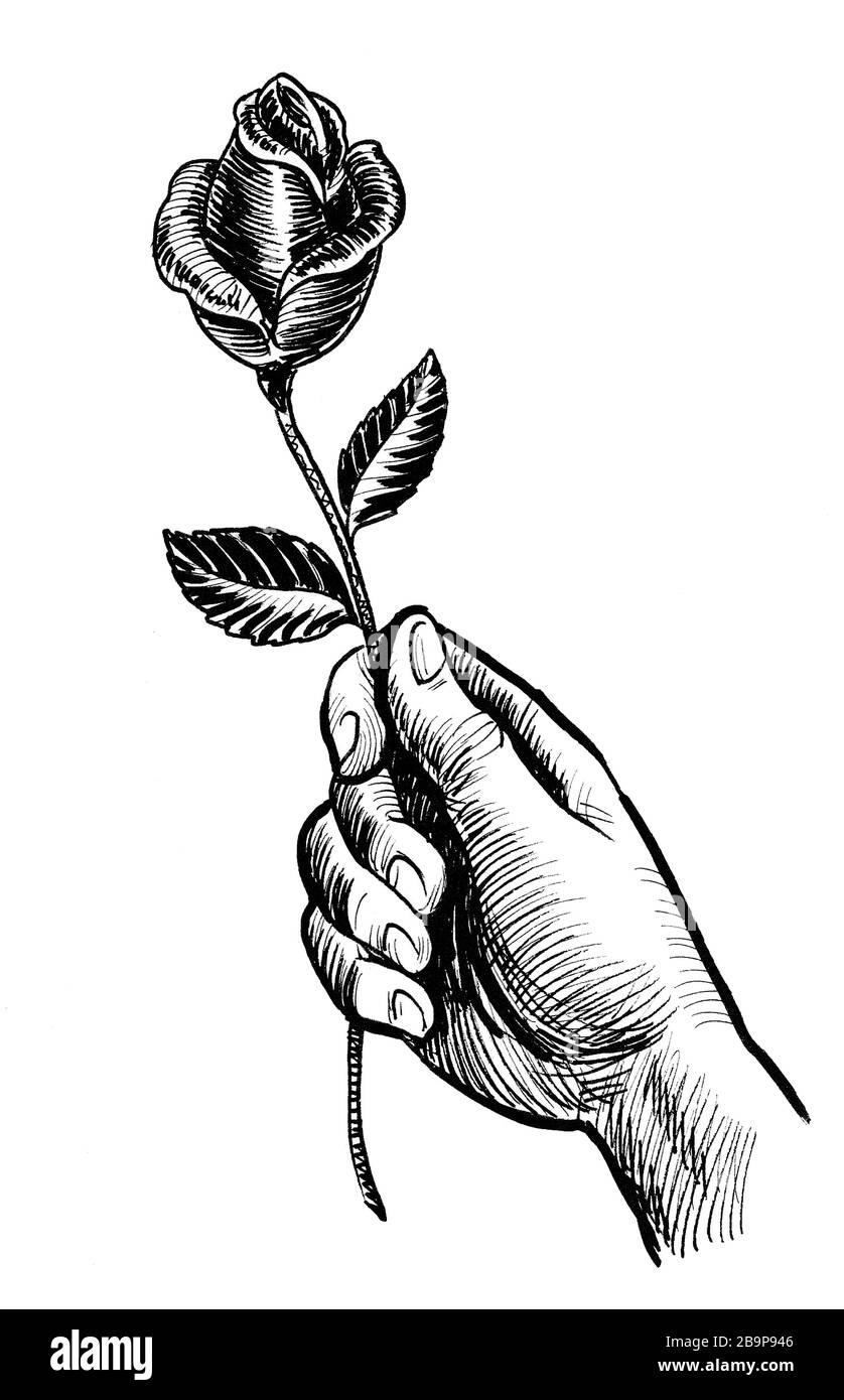 Featured image of post Rose Hand Holding Flower Drawing Discover the magic of the internet at imgur a community powered entertainment destination