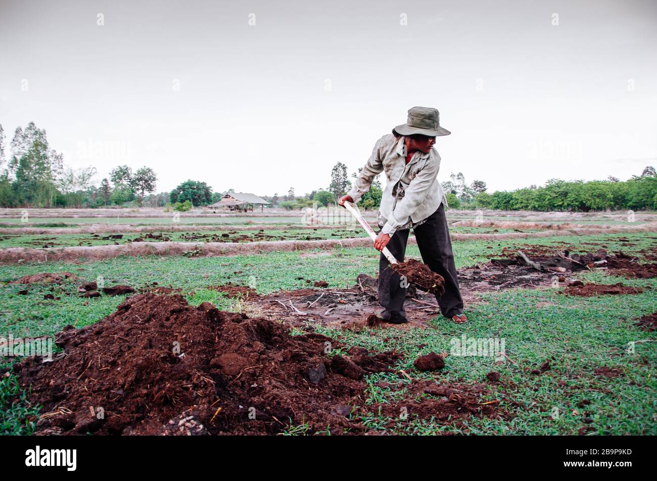 MAY 16, 2010 , Ubon Ratchathani, Thailand - Local Asian female farmer digging into soil ground in farmland for tree planting. Stock Photo