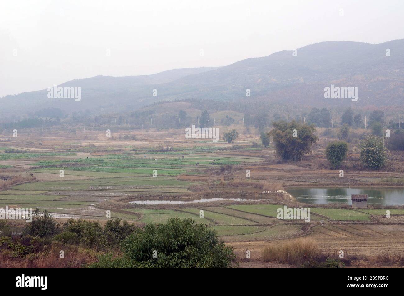 Rural landscap of the Guangdong area at China Stock Photo