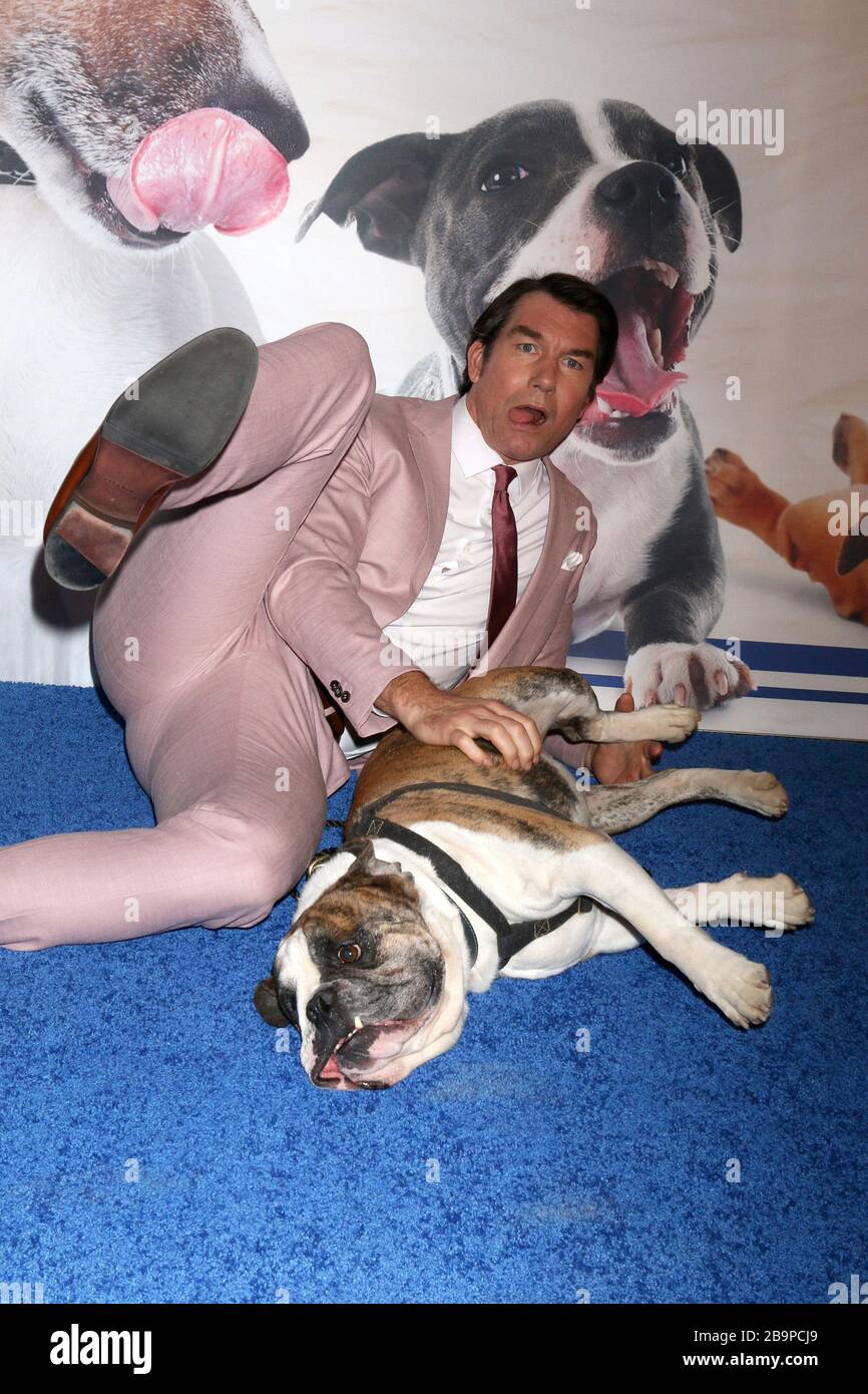 January 13, 2019, Pomona, CA, USA: LOS ANGELES - JAN 13:  Jerry O'Connell at the 2019 American Rescue Dog Show at the Fairplex on January 13, 2019 in Pomona, CA (Credit Image: © Kay Blake/ZUMA Wire) Stock Photo