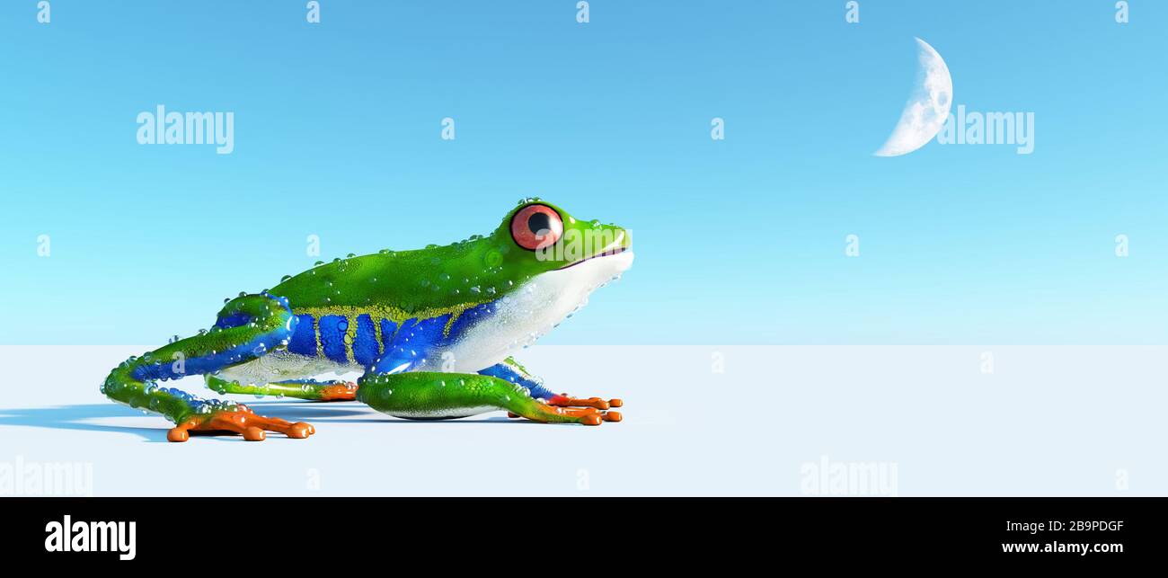 Close up of a green frog on background . This is a 3d render illustration. Stock Photo