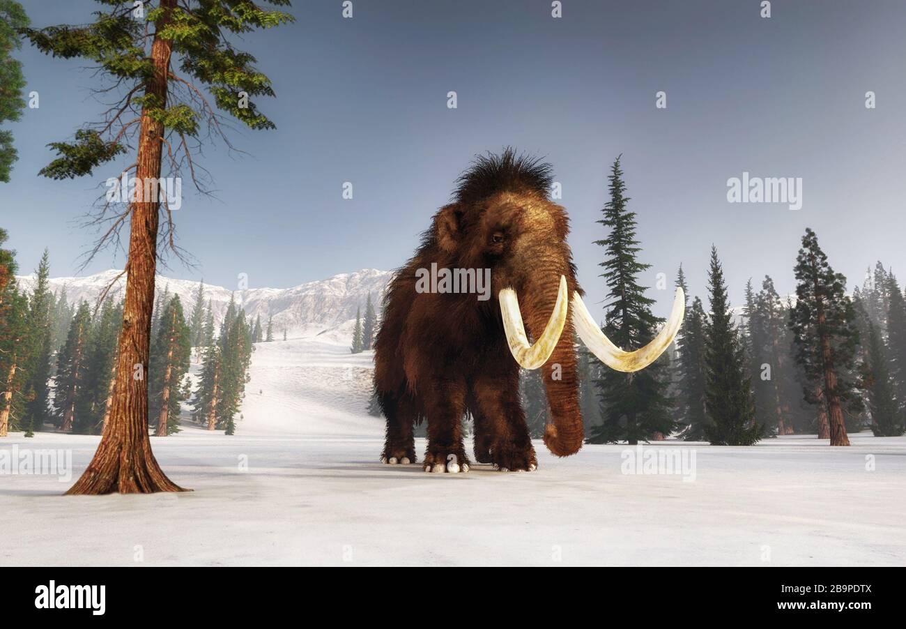 Mammoth walking on snow covered hills. Mountain environment . This is a 3d render illustration. Stock Photo