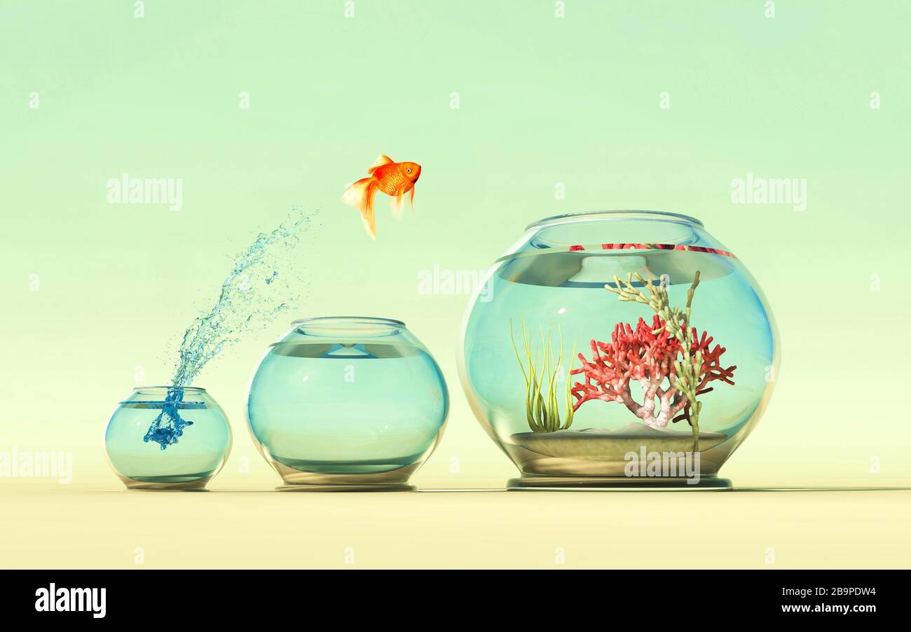 Golden fish jump over a fishbowl to another . This is a 3d render illustration . Stock Photo