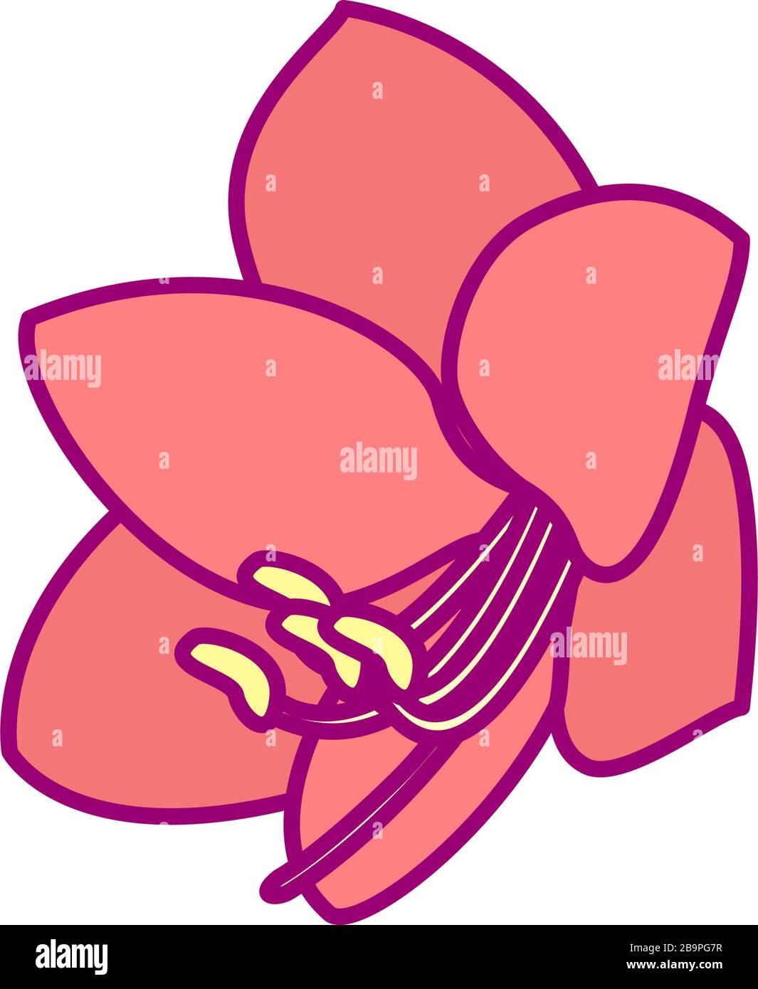 vector handdrawn cute plant clip art exotic flower Stock Vector Image ...
